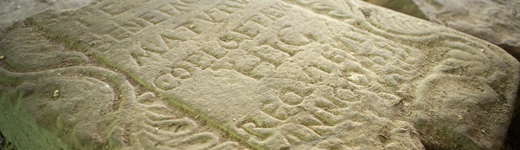 cotnari scoala latina