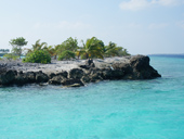 FAMILIA COTNARI, in Maldive si Singapore